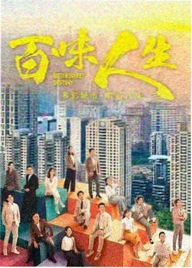 雾港 高分电视剧在线看
